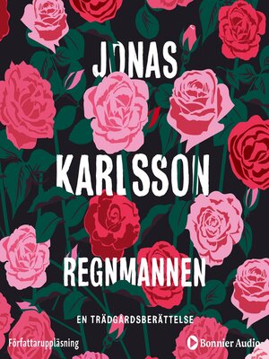 cover image of Regnmannen